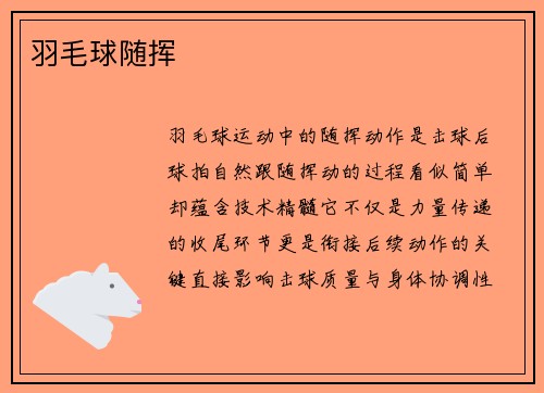 羽毛球随挥