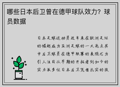 哪些日本后卫曾在德甲球队效力？球员数据